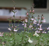 Serendipity on Allyn - Holiday Sunshine Coast