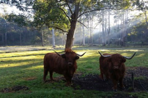 Dingley Dell - Sunshine Coast Tourism 0