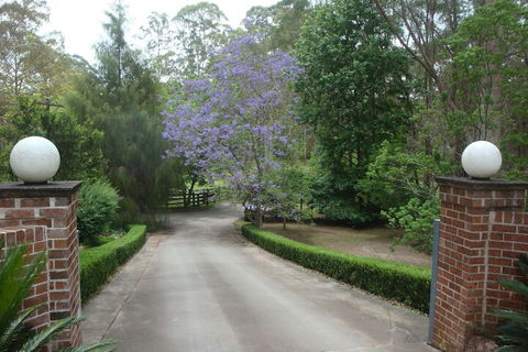 Dingley Dell - Sunshine Coast Tourism 1