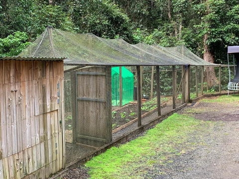 Figtree Getaway - Holiday Sunshine Coast 6