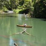 Figtree Getaway - Holiday Sunshine Coast 0