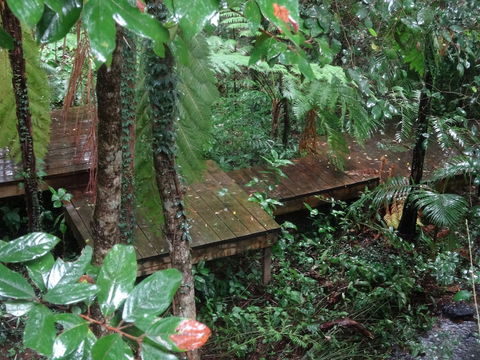 Treetops Accommodation Montville - Holiday Sunshine Coast 1