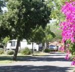 BIG 4 Hay - Sunshine Coast Tourism