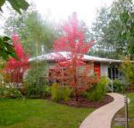 Dalrymples Guest Cottages - Sunshine Coast Tourism