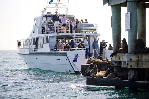 Portsea Village Resort - Holiday Sunshine Coast 6