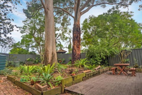 The Pines Bed & Breakfast - Holiday Sunshine Coast 0