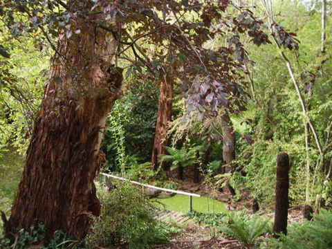 Hilltop - Holiday Sunshine Coast 3
