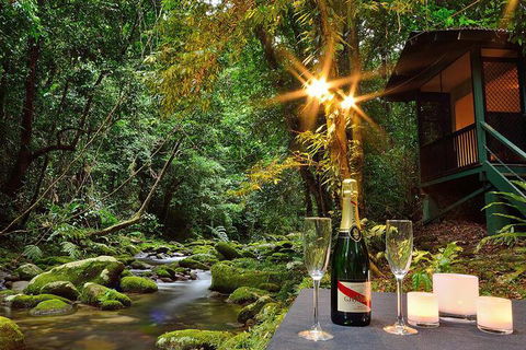 Misty Mountains Rainforest Retreat - Holiday Sunshine Coast 3