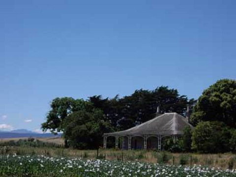 Somercotes - Holiday Sunshine Coast 6