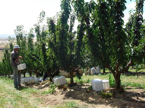 Somercotes - Holiday Sunshine Coast 4