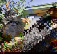 Big4 Shepparton Park Lane - Sunshine Coast Tourism