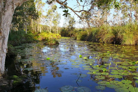 Salamander Bay Bed & Breakfast - Holiday Sunshine Coast 3