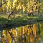 Molyullah VIC Sunshine Coast Tourism