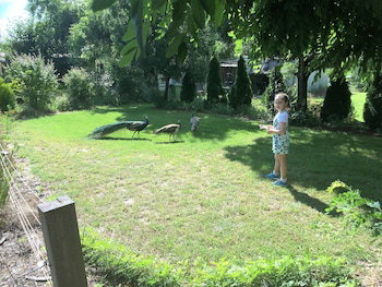 Windswept Country Retreat - Sunshine Coast Tourism 0