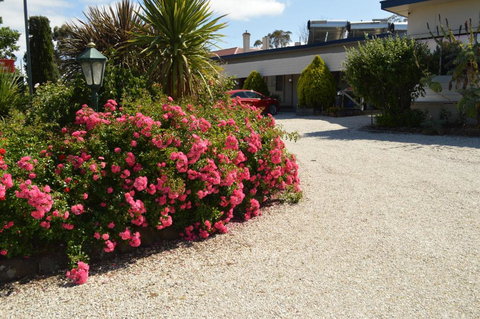 Wattle Grove Motel Maryborough - Holiday Sunshine Coast 4