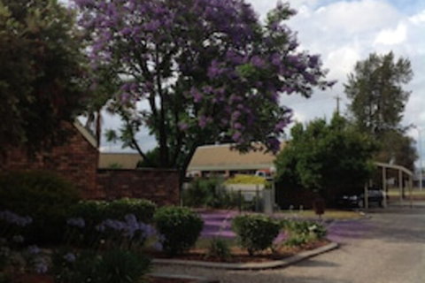 Belvoir Village Motel & Apartments Wodonga - Holiday Sunshine Coast 0