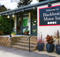 Blackheath Motor Inn - Holiday Sunshine Coast