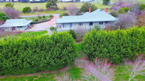 Wild Cattle Creek Estate - Holiday Sunshine Coast 6