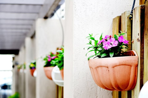 Spring Hill Mews Apartments - Sunshine Coast Tourism 2