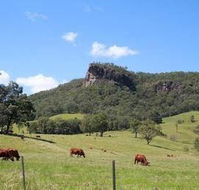 Rosevale House - Holiday Sunshine Coast
