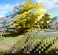 Bairnsdale Main Motel - Holiday Sunshine Coast