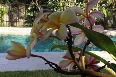 Arabella Garden Inn Motel - Holiday Sunshine Coast 2