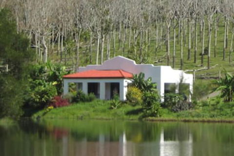 Spicy Oasis - Holiday Sunshine Coast 5