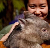 Fauna Australia Wildlife Retreat