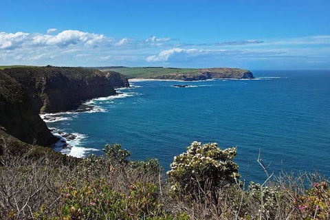 Woodland By The Bay & Puddleduck Cottage - Sunshine Coast Tourism 5