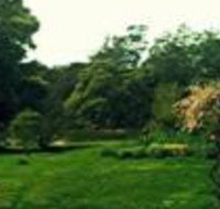 Birdwing Bed  Breakfast Weegena - Sunshine Coast Tourism