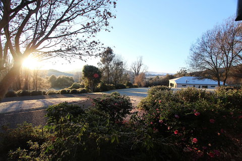 Flowerdale Estate - Holiday Sunshine Coast 1