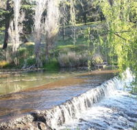 Avocados Accommodation - Holiday Sunshine Coast