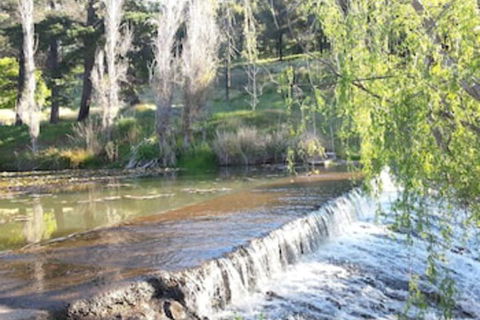 Avocados Accommodation - Holiday Sunshine Coast 0