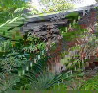 Mt Warning Rainforest Retreat