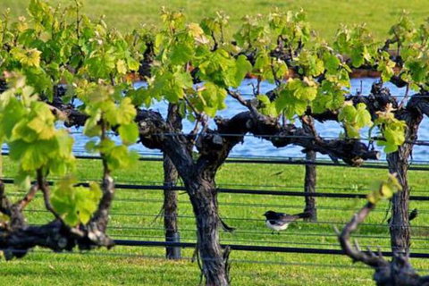 Toby Inlet Bed & Breakfast - Sunshine Coast Tourism 7