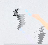 The Sails Motel Brunswick Heads - Sunshine Coast Tourism