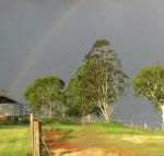 CBR Equine Cottage - Holiday Sunshine Coast
