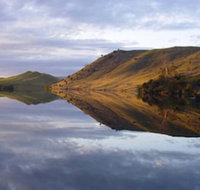 Curringa Farm - Sunshine Coast Tourism