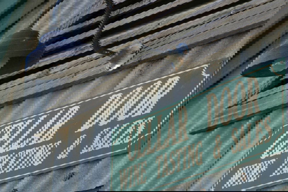 Goldie VIC Holiday Sunshine Coast