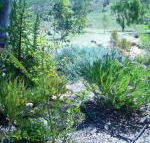 Old Miners Cottages Bed  Breakfast - Sunshine Coast Tourism