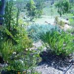 Old Miners Cottages Bed & Breakfast - Sunshine Coast Tourism 0