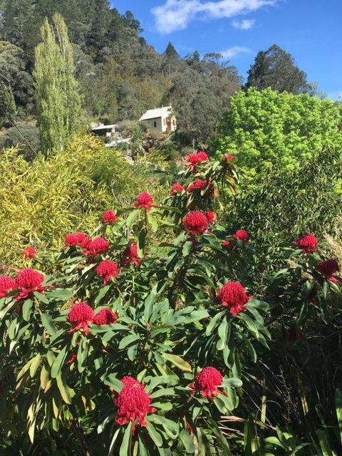 Stringers Cottage - Sunshine Coast Tourism 1