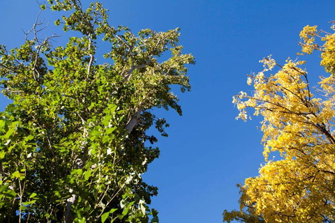 Strayleaves Caravan Park - Holiday Sunshine Coast 4