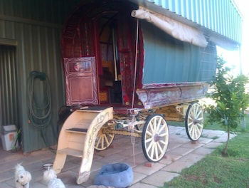  Holiday Sunshine Coast