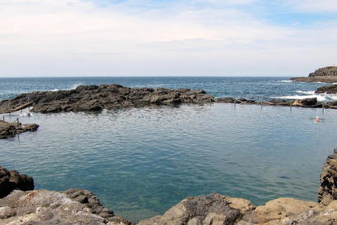 Kiama Harbour Cabins - Holiday Sunshine Coast 4