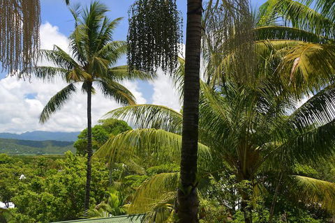 Monsoon Villa B - Sunshine Coast Tourism 5