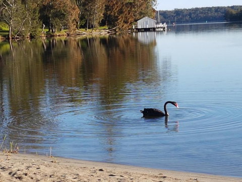 Wyreepi Caribbean Chalet - Sunshine Coast Tourism 1