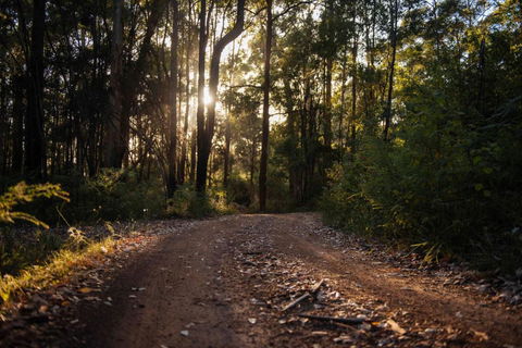 Mudstone Spa Retreat - Sunshine Coast Tourism 5