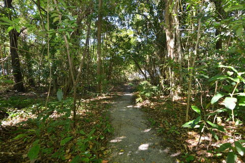Sea La Villa Port Douglas - Sunshine Coast Tourism 2