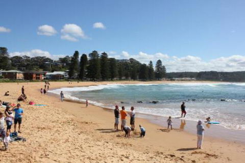 Avoca Beach Cape Cottage - Holiday Sunshine Coast 0
